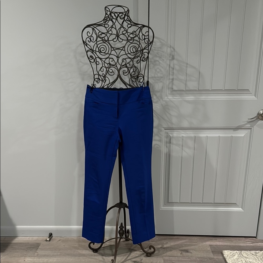 Express Women’s Editor Ankle Pants